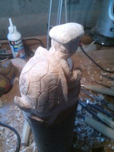 tortue carapase