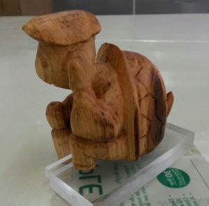 tortue bois huilé