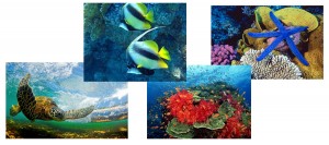 inspiration marqueterie